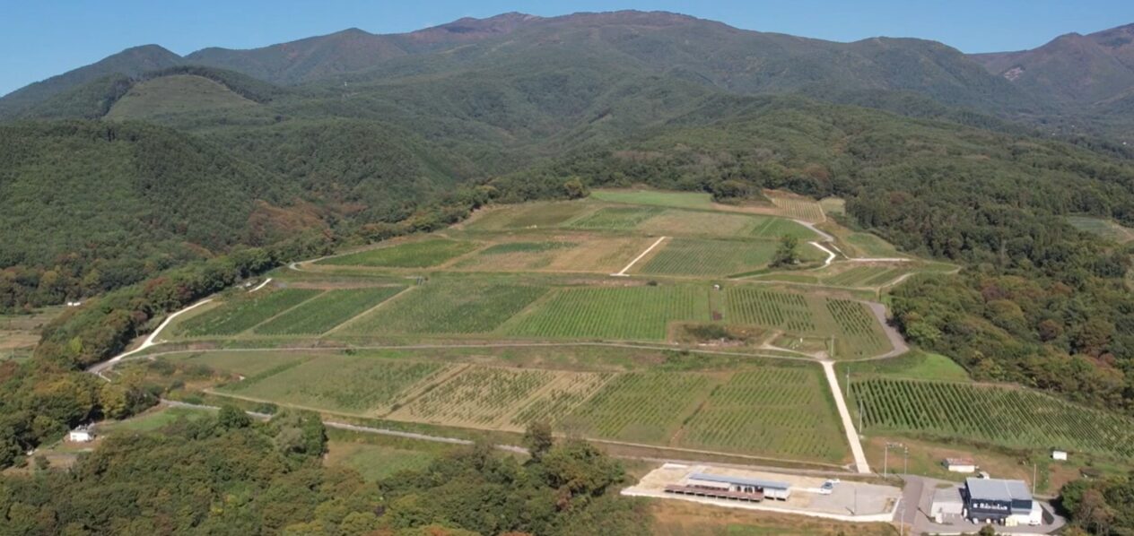 ギャラリー画像