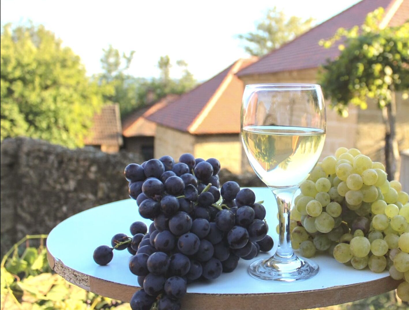 ギャラリー画像