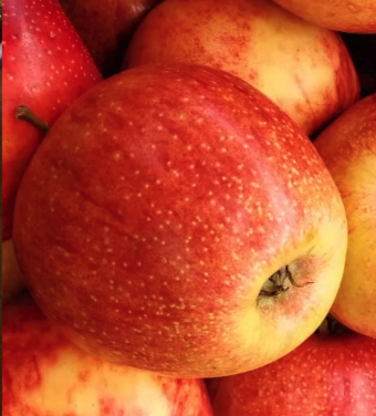 ギャラリー画像