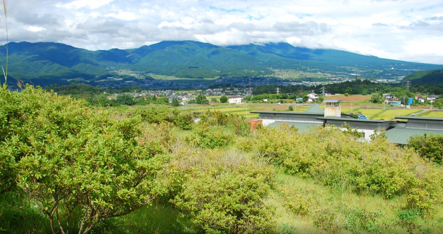 ギャラリー画像