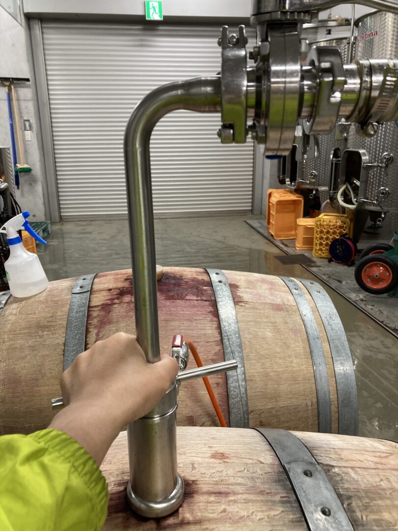 ギャラリー画像