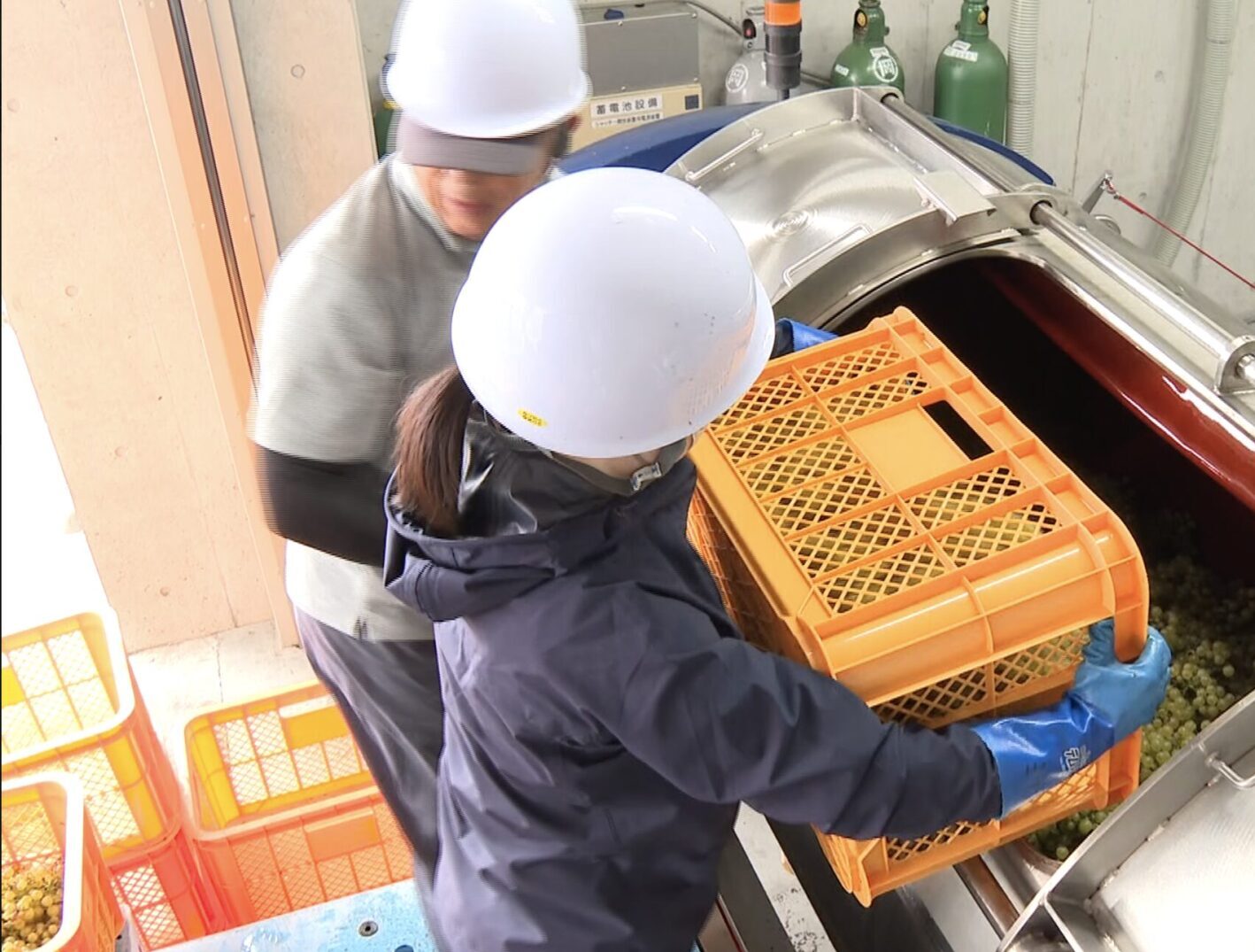 ギャラリー画像