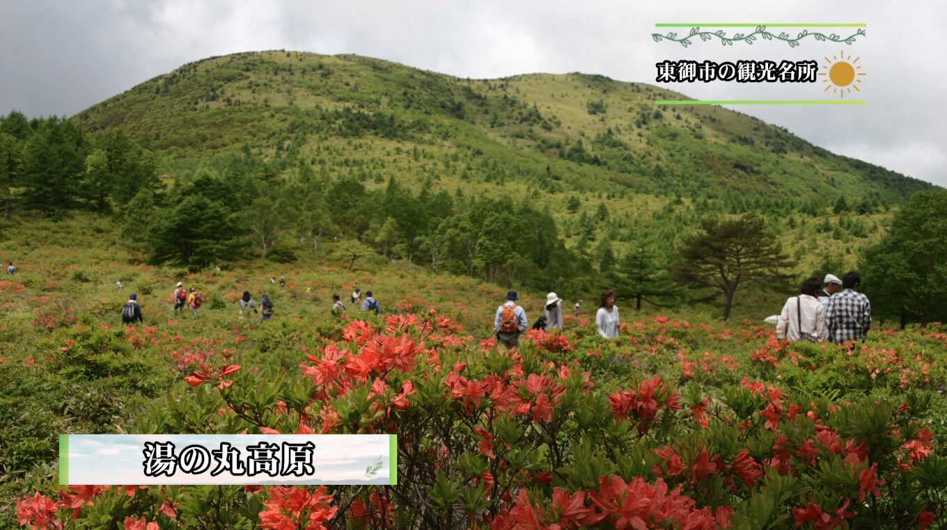 ギャラリー画像