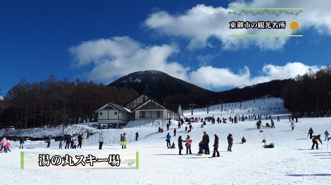 ギャラリー画像